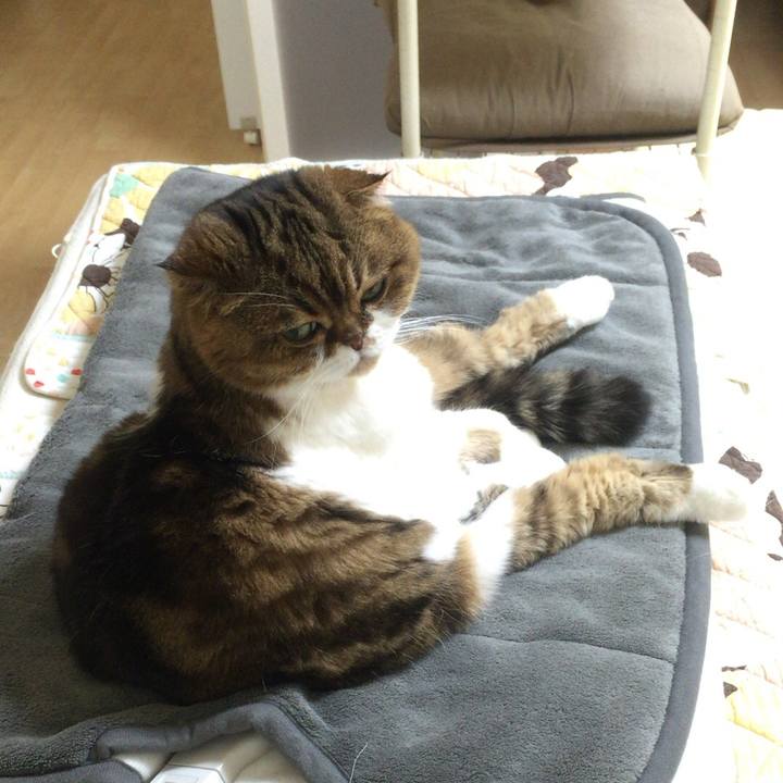 6ddf8d11 9469 438a b8eb 4d1104e3ce6d