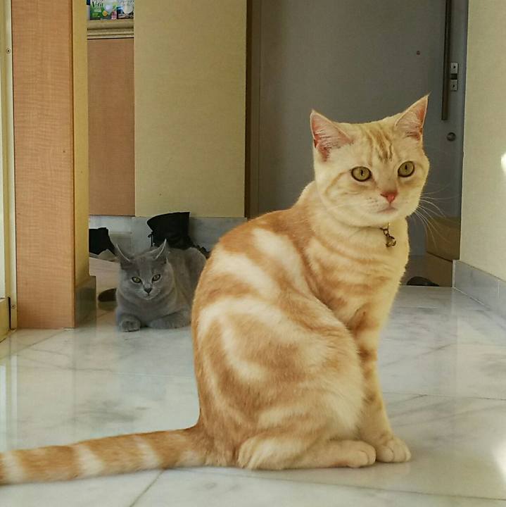 6ddf9b59 e806 45c0 9df6 26361401e9ea