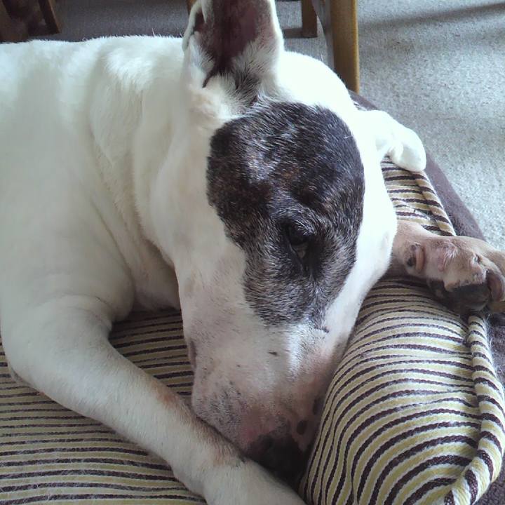 6ddfd426 9ff6 43df a5e7 73c6fab97cdc