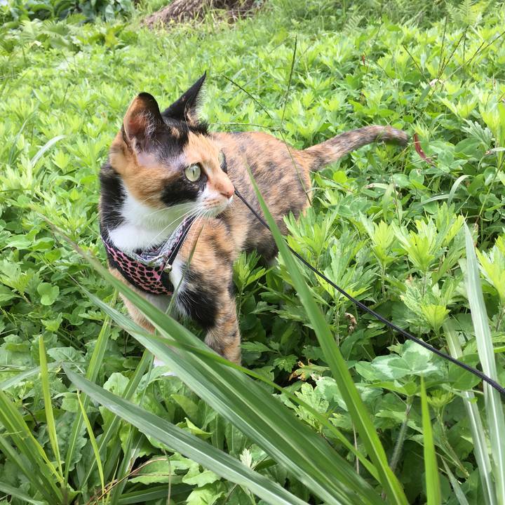 6ddfdd9d 75b1 47df 902d 1e04a1a9fdb7