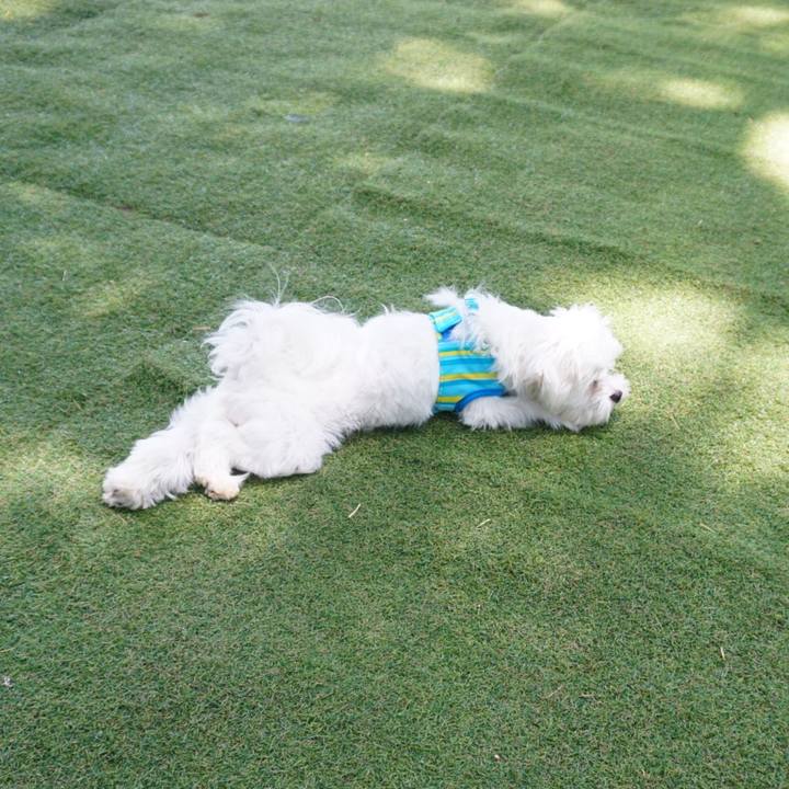 6de03c72 d4ad 4450 ae6e 908a7a1ee02f