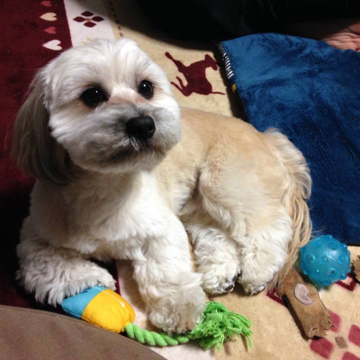 6de05e6d 839a 46cb bc89 e65f608bf06a