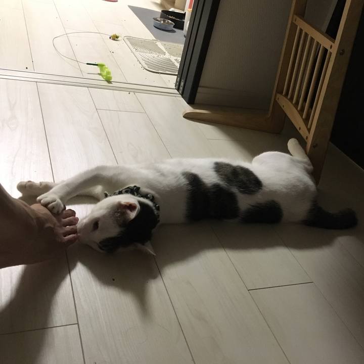 6de0b233 425b 4a4f a75c 36372877a05c