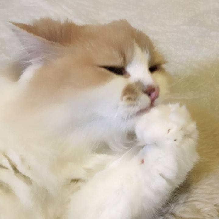 6de13c50 127a 48b6 8ebf 8b35335a6cfa