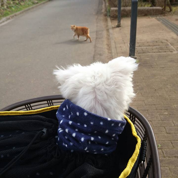 6de240aa 4a6e 409a 900a 6ed46277783c