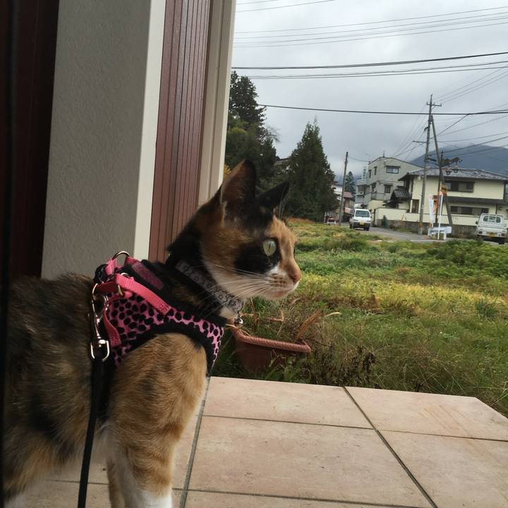 6de24ece 1239 41d7 9dce 3ad74aaca2fd