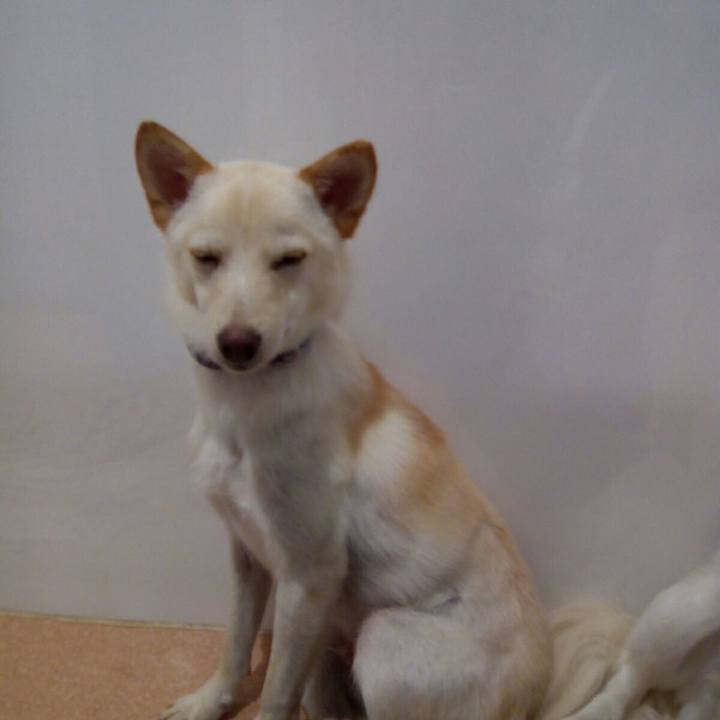 6de25fe1 2548 4799 bce4 3d0bee6c3359