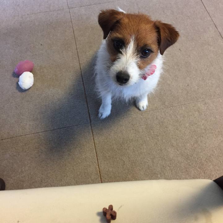 6de2d035 d821 43bf 8b99 e837ee1ddc6a