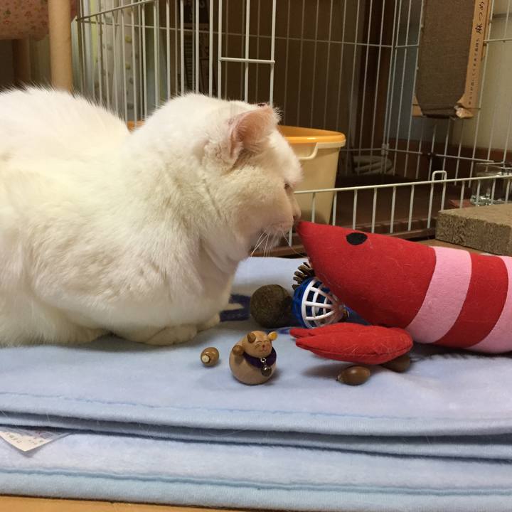 6de326a5 637a 428d 901f f8777e33e287