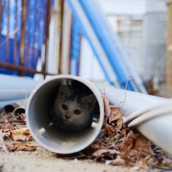 6de32fe5 36b0 4268 b96c 097a60bfe6c9