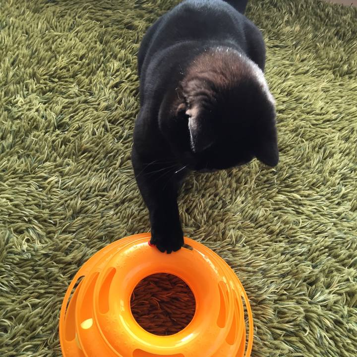 6de37c7a b727 4452 b8df 99a9ebb9fbe9