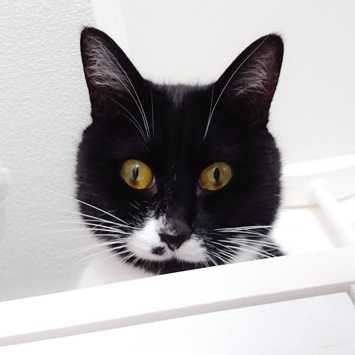 6de3f7a3 b987 42c8 9e6f 0c4c7a9ee19e