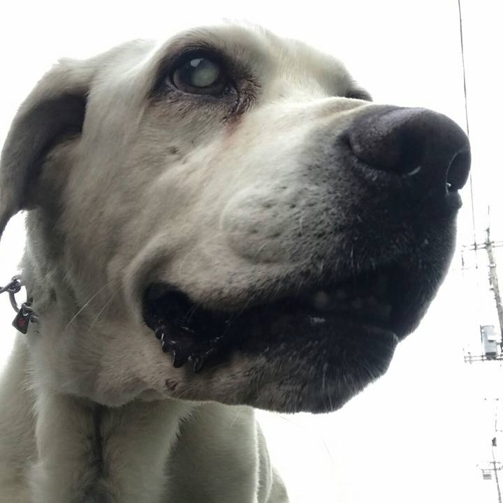 6de4534b 5c6f 4d2b 8b30 2ebb6fe621ee