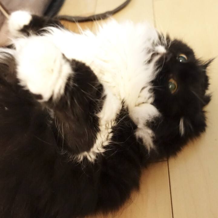 6de4658c 5700 465d afa8 cd0914397298