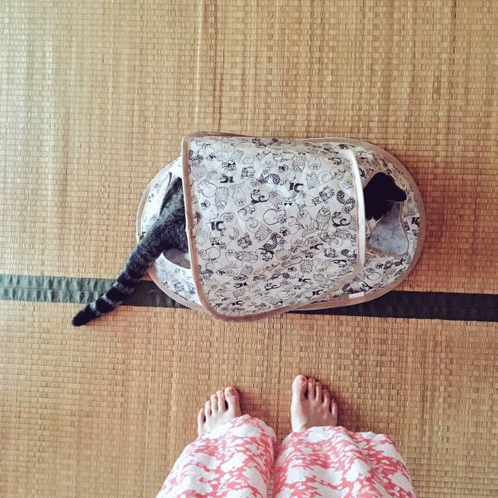 6de58fd6 d29f 4dae b2ef ec6364980211