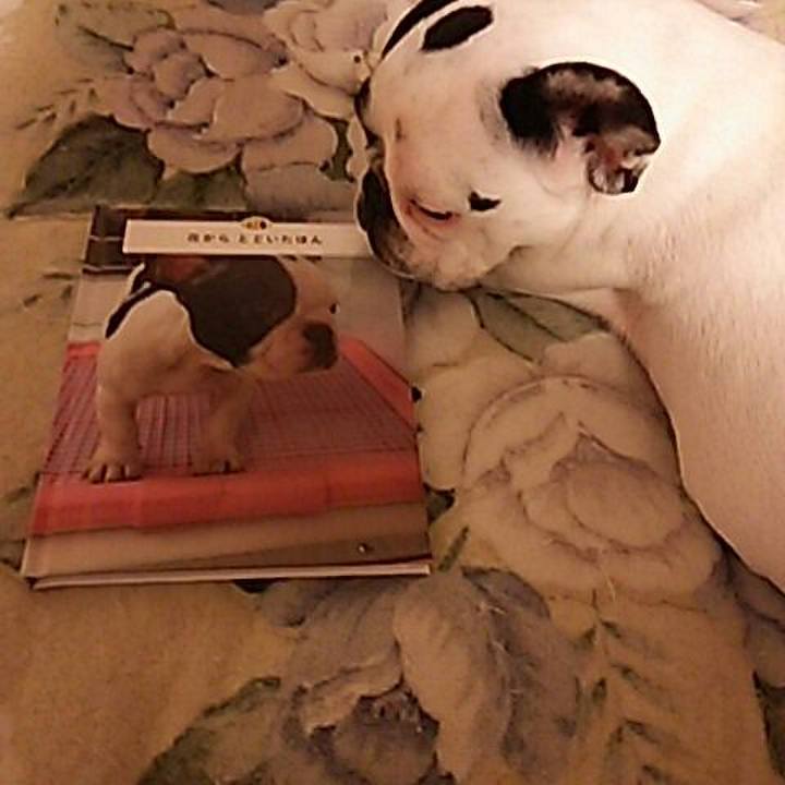 6de5aa3e b906 45bd 8f4c cad341132e05