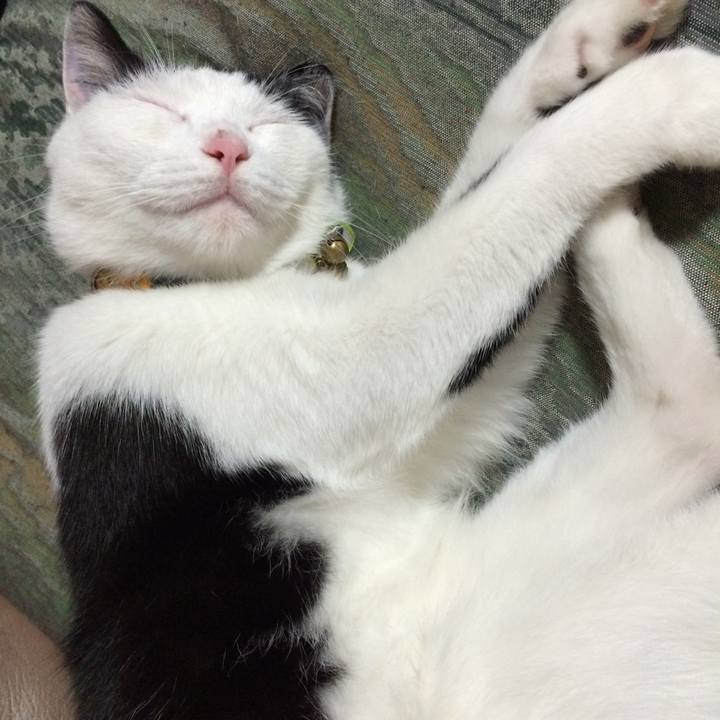 6de5adaf 39ee 4133 91b4 c4e48a2a6dfe