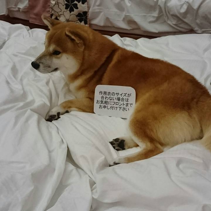 6de6d262 f4e1 43b0 b273 b90a2b115aab