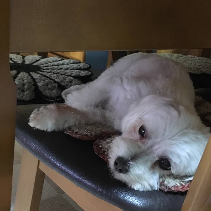 6de6e1cc 9669 4a1a b2b3 664d7eba6064