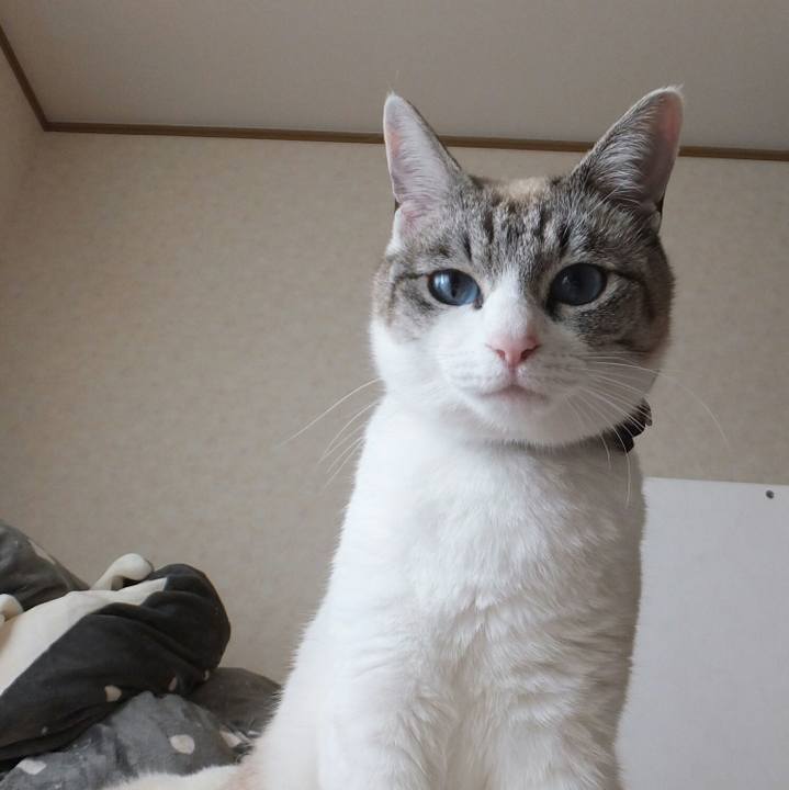 6de7139e 881b 45b0 86bc 0faea97985bf