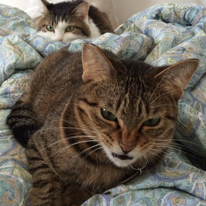 6de745dd a2a9 44a1 b2c7 81481d04fdfe