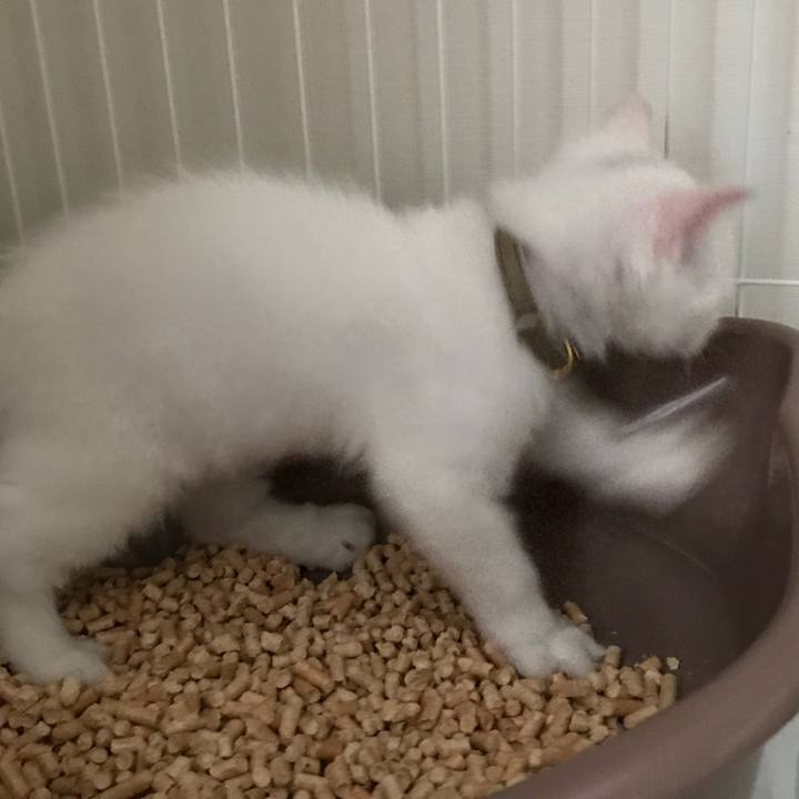 6de7a8e1 2ec0 44ab 815b 7f688b48ca20