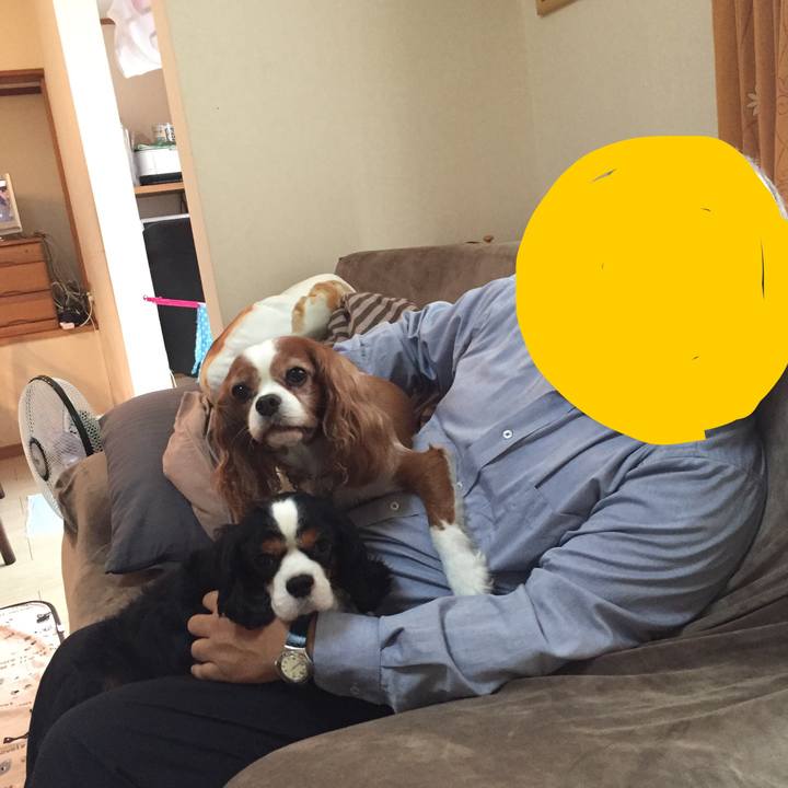 6de7c1e2 84c5 4e70 b1a0 3f07a9936fdf