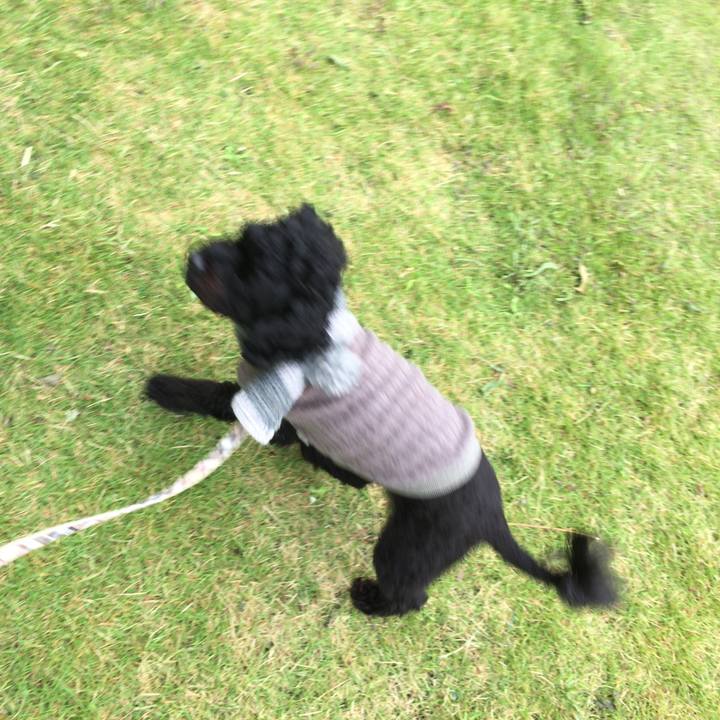 6de82b9a c050 43af a3c5 b164fc4bfe88