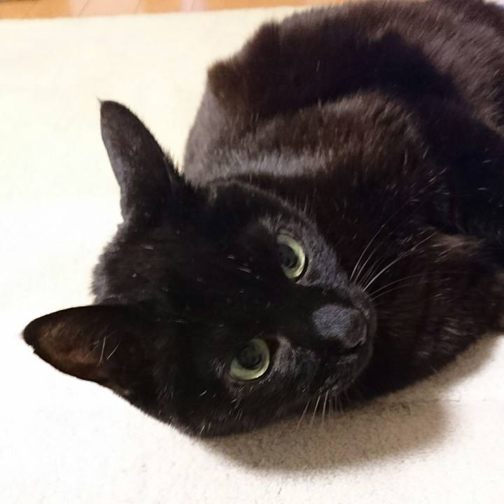 6de86bf1 d7f0 46e8 b576 e1d7b9875935