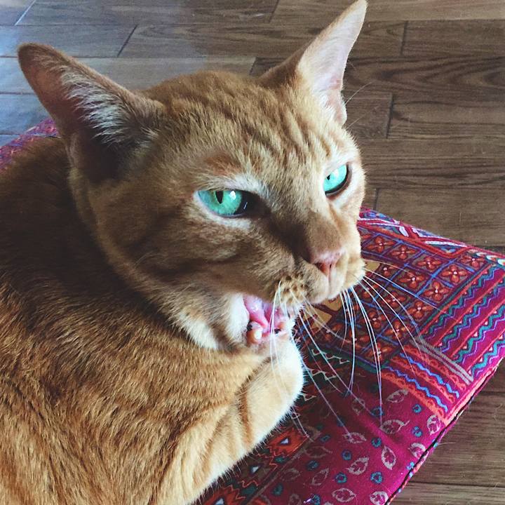 6de88299 e5fb 4d85 8a0d 196a8e3a6b4d