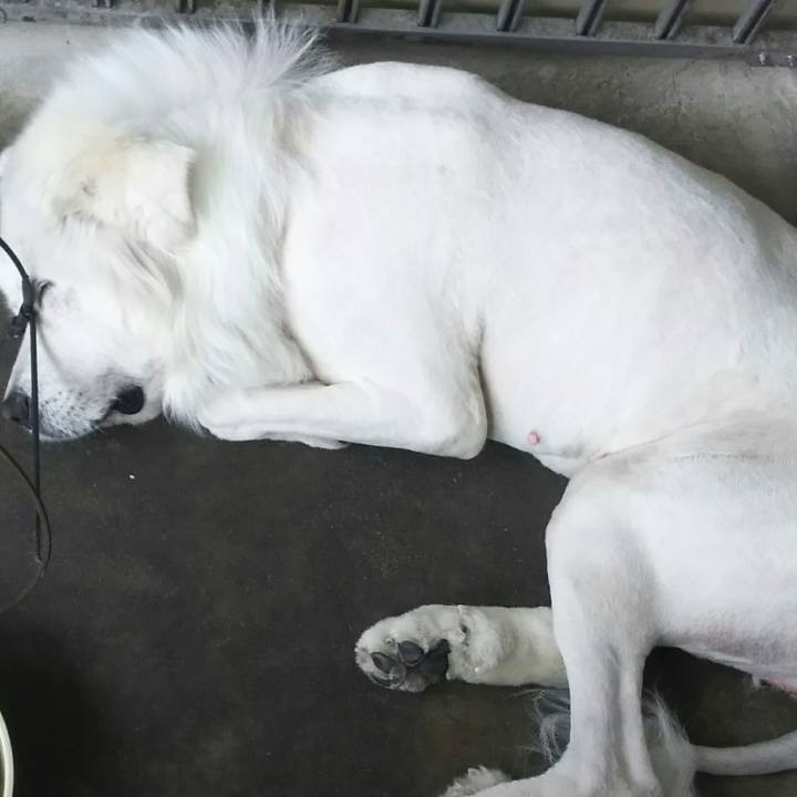 6de89d98 190c 45cd af2b 533866fa8aca