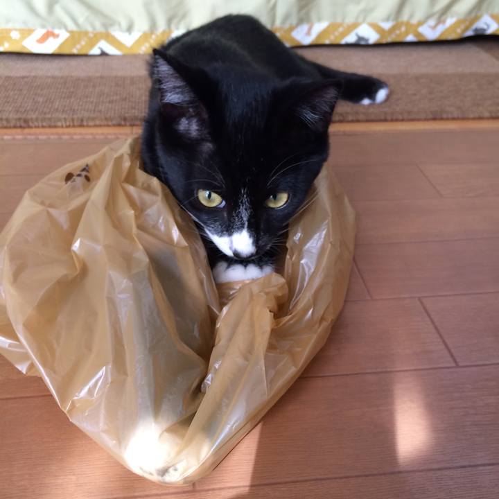 6de978e2 7364 49a5 93d7 d2eab7454e19