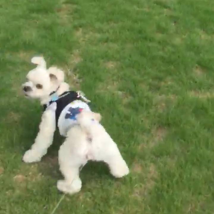 6dea4990 506c 4854 921f 51a76799c6ef