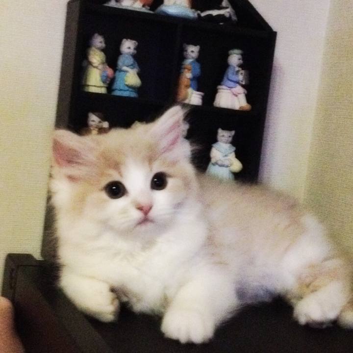 6dea526a 7e3e 46c9 89bb e77925e2dc2f