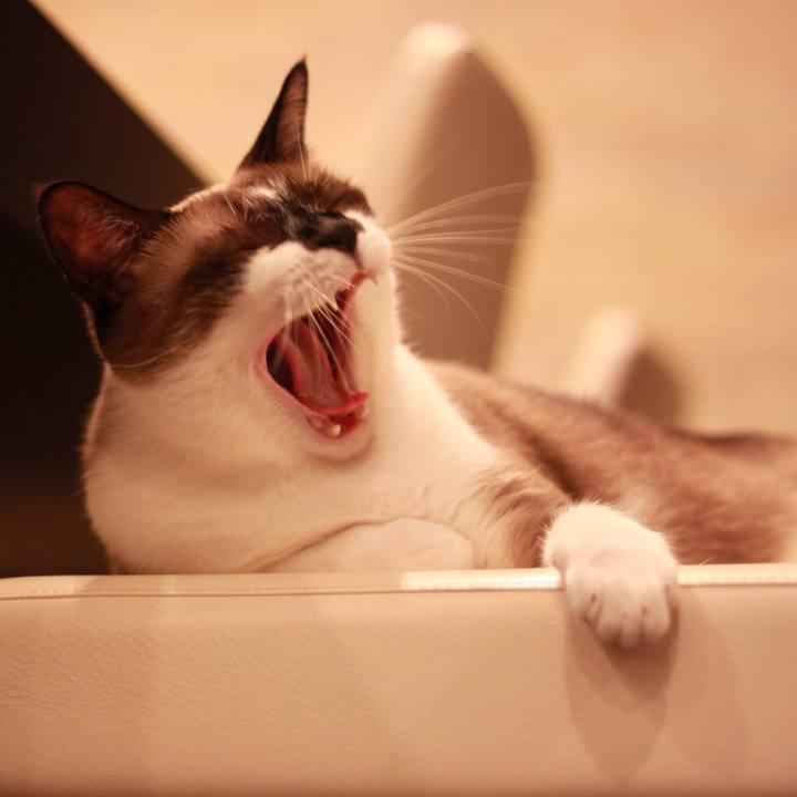 6deb40bf dd71 496f 8de2 e3b667ca4825