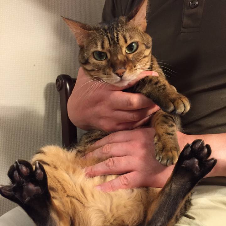 6deb546c e392 46c7 ac8f 749ea6d22025