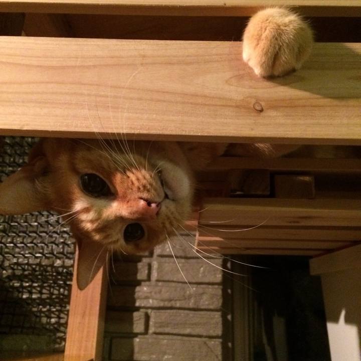 6deb5a1d 42d8 42da a49e 0406a70afc94