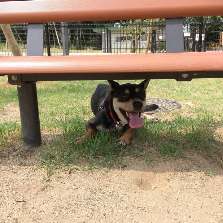 6debe791 4c2e 4158 bd93 4cfd9065aa75