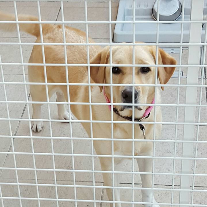 6debe987 1ec1 469a b388 57e2c96b926b