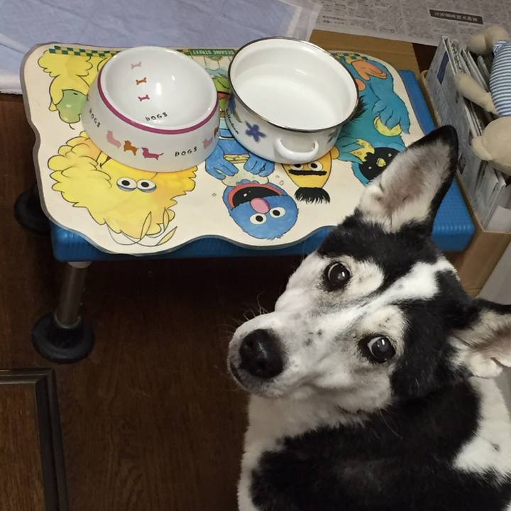 6dec3e80 a0ed 4170 9fa3 a3438d2fef15