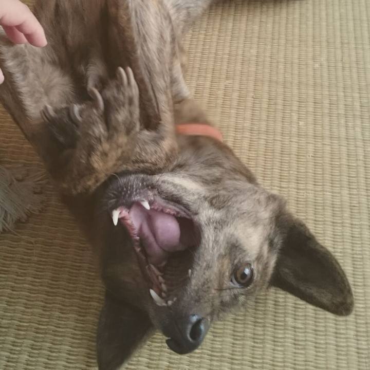 6dece154 1632 4911 bdd3 bda6a8e2cf06