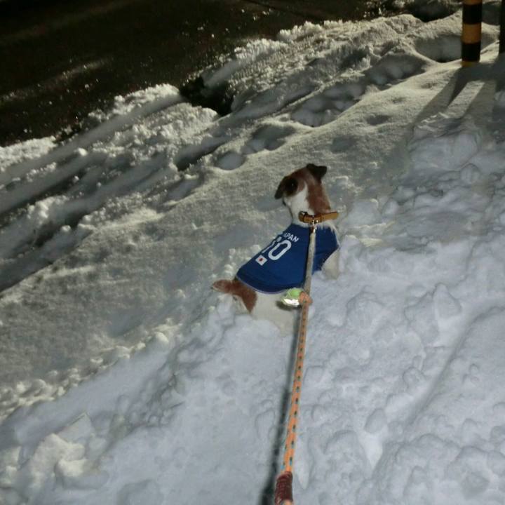 6ded41d4 ded2 4976 bc4e 4895fc456ddb