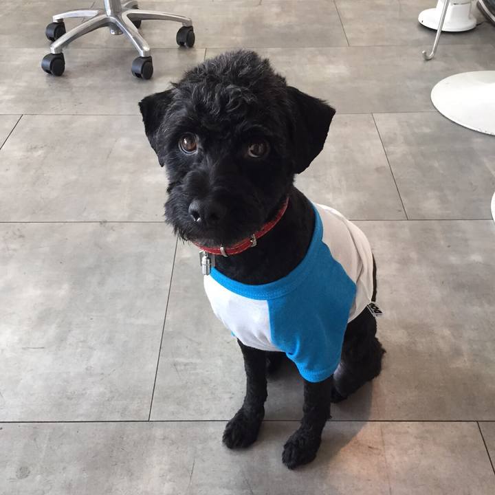 6dedc314 96d1 4179 b0ef 6ed645be669d