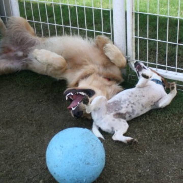 6dede399 83a9 443a aa8d 06083ce22c52