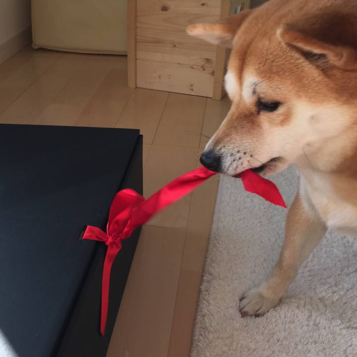 6dee03b2 89a8 488c bbee 49735f3afea0