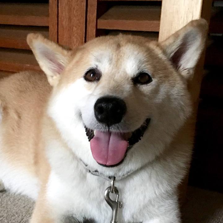 6dee6793 8b97 49ea b20d b403feaae22e