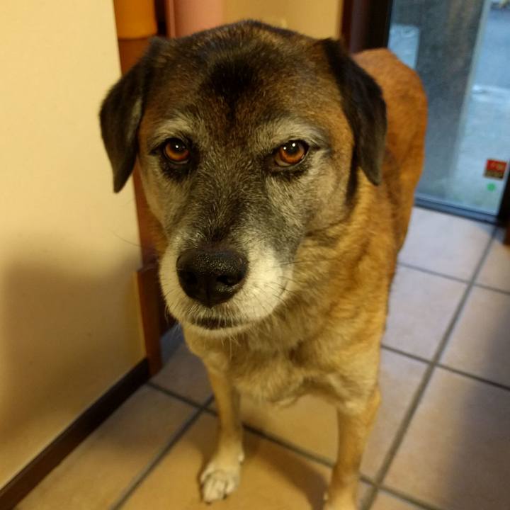 6dee8edc 4518 44b5 80e3 1fbcdd5b94e4