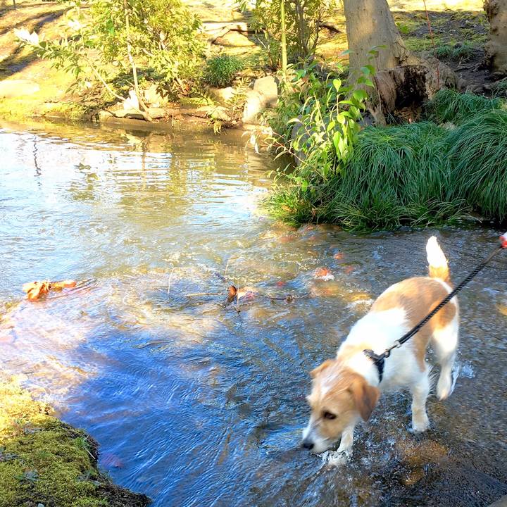 6deea5fb e4af 4dc5 be03 8cddefc20c59