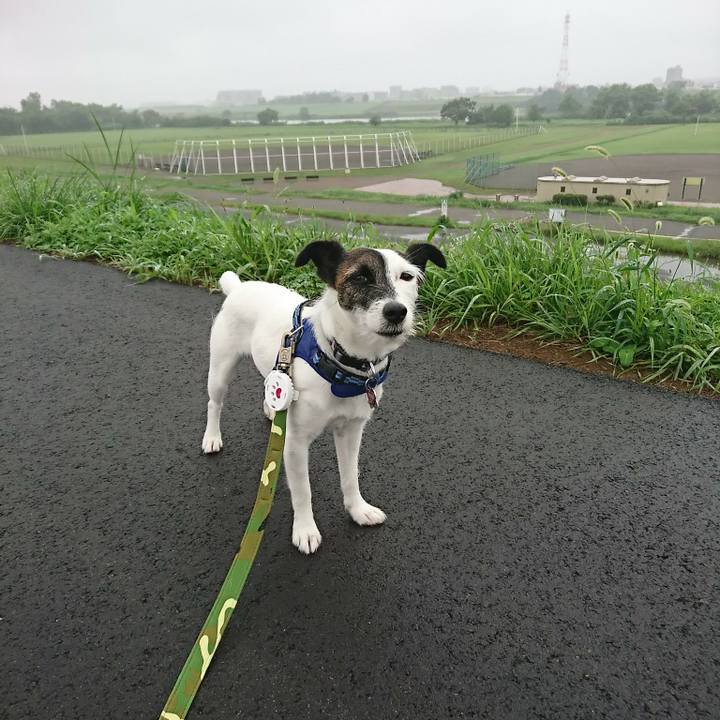 6def1069 124e 442a ac6d b8dbfb0b4654