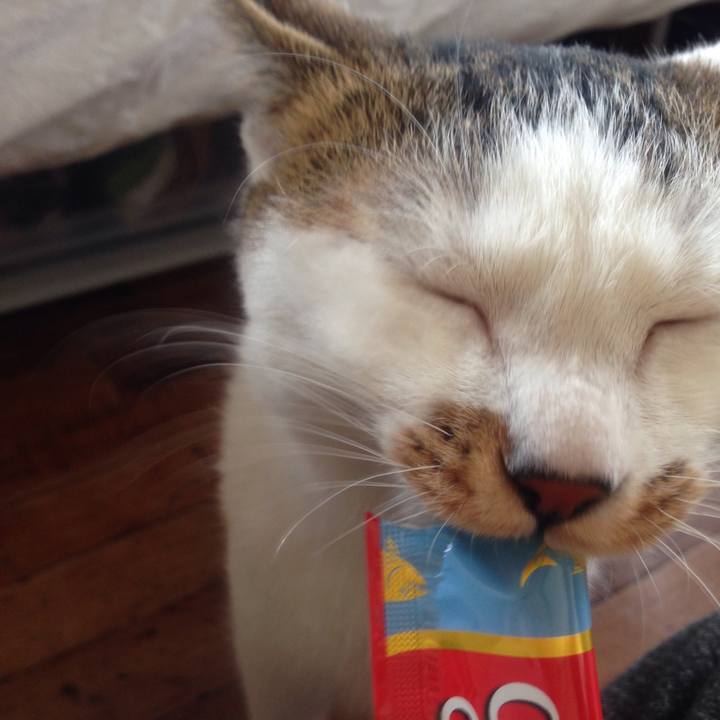 6def3832 6020 4be1 a0ea 68864094f0db